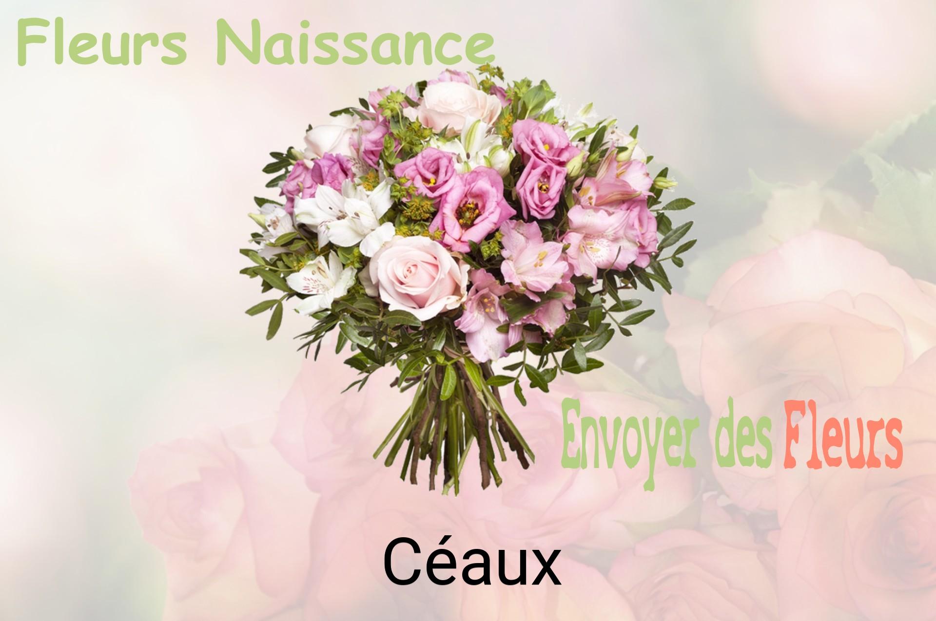 Bouquet de fleurs de naissance livré à Céaux