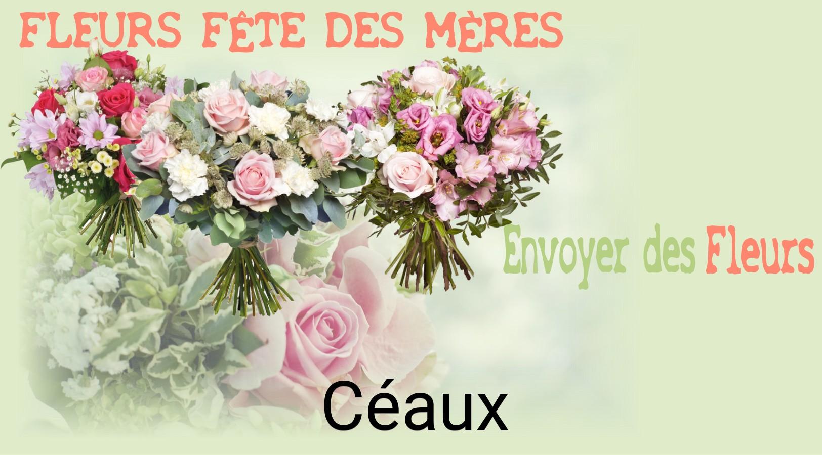 Bouquet de Fête des Mères livré à Céaux